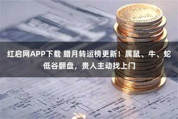 红启网APP下载 腊月转运榜更新！属鼠、牛、蛇低谷翻盘，贵人主动找上门