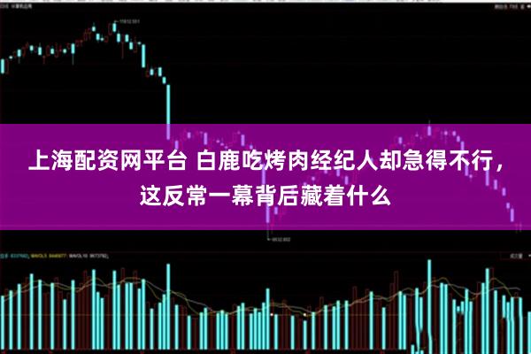 上海配资网平台 白鹿吃烤肉经纪人却急得不行，这反常一幕背后藏着什么