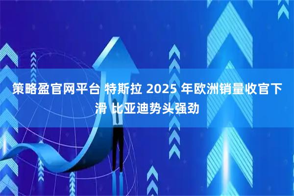 策略盈官网平台 特斯拉 2025 年欧洲销量收官下滑 比亚迪势头强劲