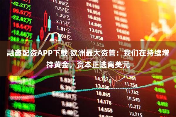 融鑫配资APP下载 欧洲最大资管：我们在持续增持黄金，资本正逃离美元