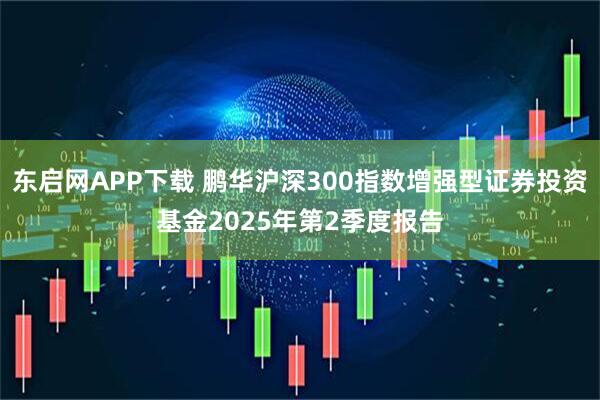 东启网APP下载 鹏华沪深300指数增强型证券投资基金2025年第2季度报告