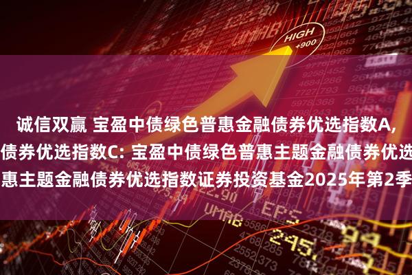 诚信双赢 宝盈中债绿色普惠金融债券优选指数A,宝盈中债绿色普惠金融债券优选指数C: 宝盈中债绿色普惠主题金融债券优选指数证券投资基金2025年第2季度报告