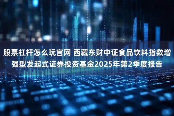 股票杠杆怎么玩官网 西藏东财中证食品饮料指数增强型发起式证券投资基金2025年第2季度报告