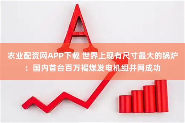 农业配资网APP下载 世界上现有尺寸最大的锅炉：国内首台百万褐煤发电机组并网成功