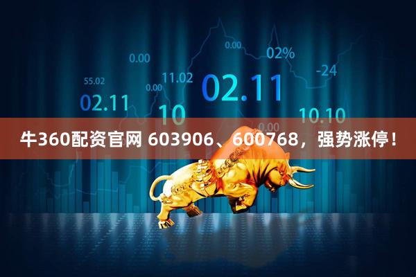 牛360配资官网 603906、600768，强势涨停！