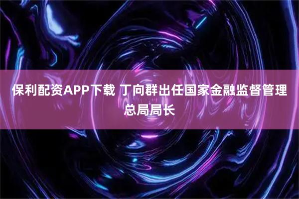 保利配资APP下载 丁向群出任国家金融监督管理总局局长
