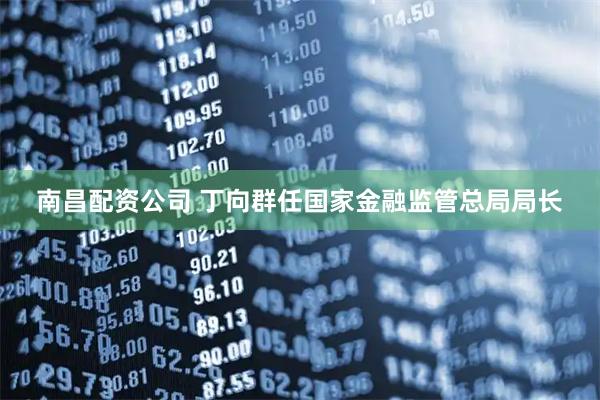 南昌配资公司 丁向群任国家金融监管总局局长